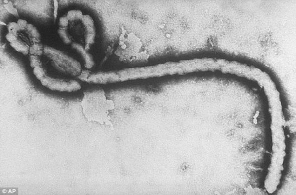 可怕的埃博拉病毒，可导致感染者出现类似发烧的症状，随后还会出现器官衰竭和无法控制的出血，最终走向死亡。新研究发现这种致命病毒可以通过空气传播